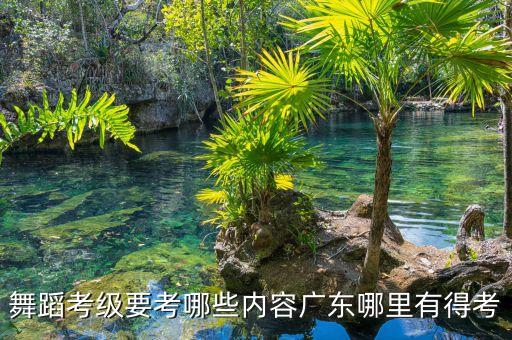 舞蹈2级考什么，国家二级舞蹈演员怎么考
