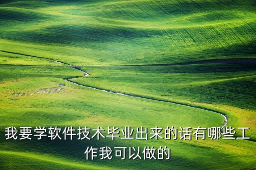 我要学软件技术毕业出来的话有哪些工作我可以做的