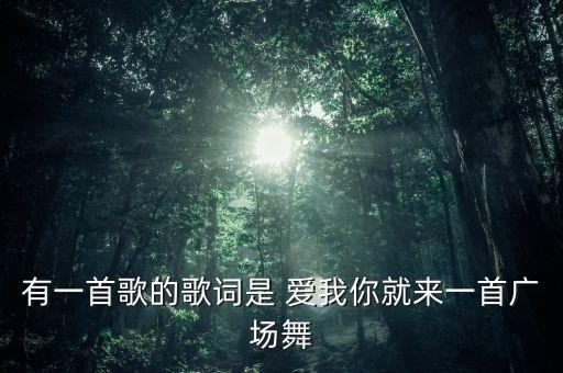 有一首歌的歌词是 爱我你就来一首广场舞