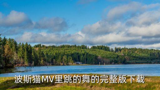 波斯猫dj广场舞，2012年会舞蹈串烧 波斯猫的音乐帮忙截取一下谢谢