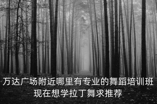 万达广场附近哪里有专业的舞蹈培训班现在想学拉丁舞求推荐