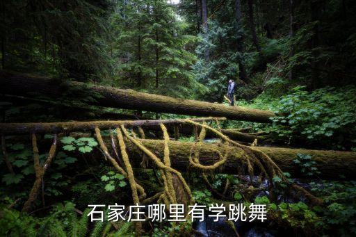 石家庄哪里有学跳舞