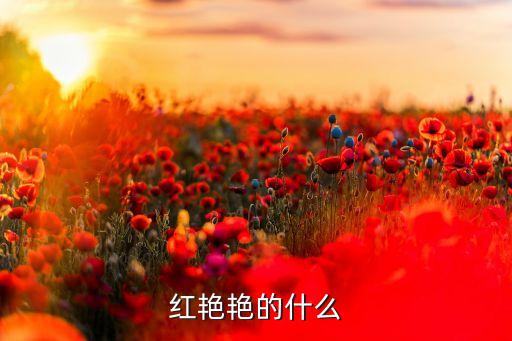 红艳艳的什么