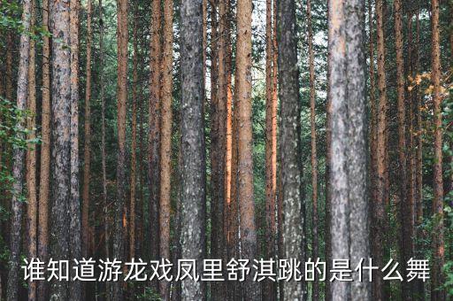 谁知道游龙戏凤里舒淇跳的是什么舞