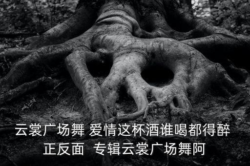 云裳广场舞 爱情这杯酒谁喝都得醉 正反面  专辑云裳广场舞阿