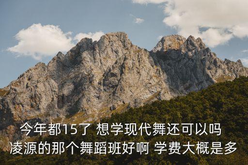 15岁学舞蹈需要多少钱，学舞蹈一个学期要多少钱
