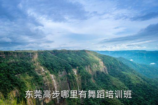 东莞哪里可以考舞蹈证，东莞东城区最好的舞蹈培训中心在哪里呀