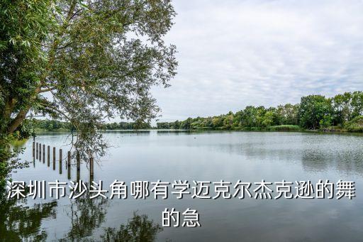 深圳市沙头角哪有学迈克尔杰克逊的舞的急