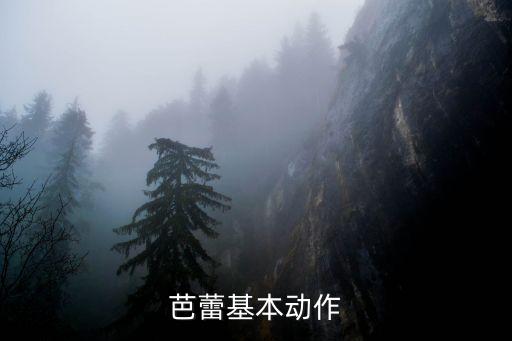 芭蕾舞基本功训练教程完整版，芭蕾舞初学者要练习哪些基本功