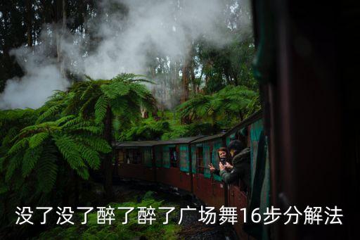 没了没了醉了醉了广场舞16步分解法