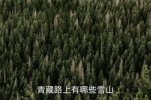 青藏路上有哪些雪山