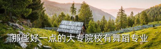 那些好一点的大专院校有舞蹈专业