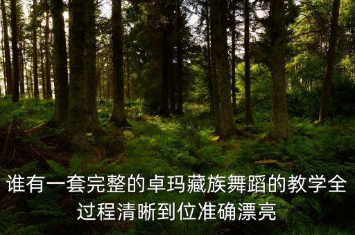 谁有一套完整的卓玛藏族舞蹈的教学全过程清晰到位准确漂亮