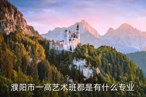 濮阳市一高艺术班都是有什么专业