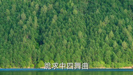 跪求中四舞曲