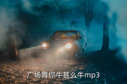 广场舞你牛甚么牛mp3
