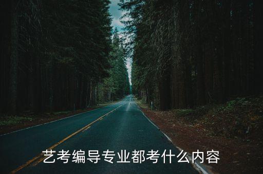 艺考编导专业都考什么内容