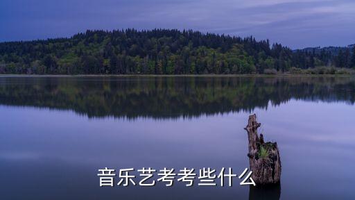 音乐生艺考考什么，音乐艺考考些什么