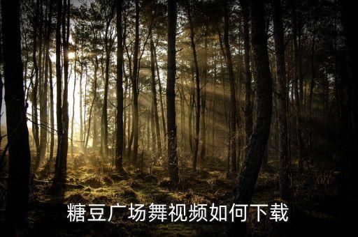 糖豆广场舞视频如何下载