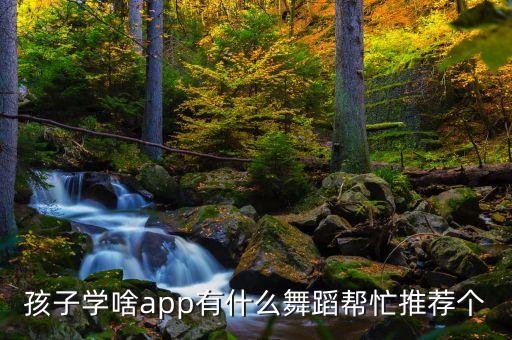 小孩学跳舞的软件是什么，什么样的软件可以学练舞