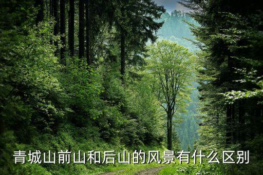 青城山前山和后山的风景有什么区别