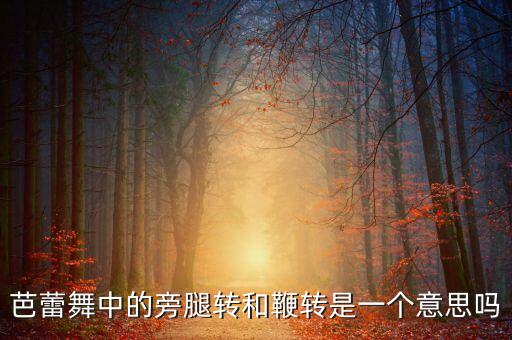 芭蕾舞中的旁腿转和鞭转是一个意思吗