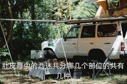 肚皮舞中的西迷共分哪几个部位的共有几种