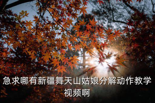 急求哪有新疆舞天山姑娘分解动作教学视频啊