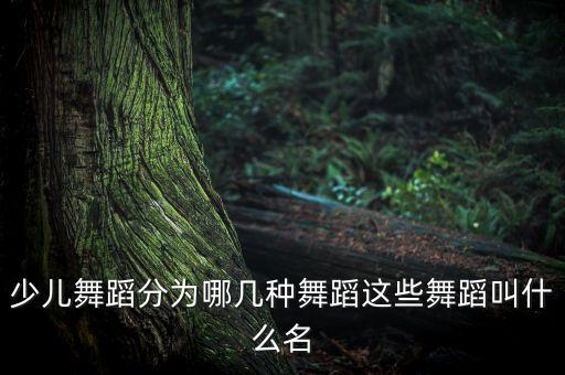 少儿舞蹈分为哪几种舞蹈这些舞蹈叫什么名