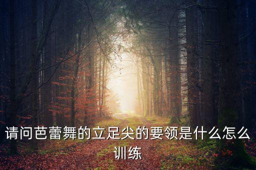 请问芭蕾舞的立足尖的要领是什么怎么训练