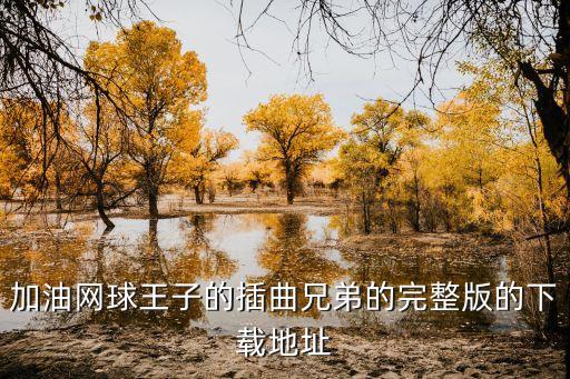 加油网球王子的插曲兄弟的完整版的下载地址