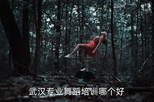 武汉专业舞蹈培训哪个好