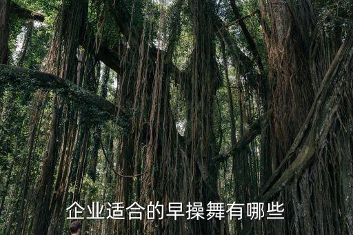 企业适合的早操舞有哪些