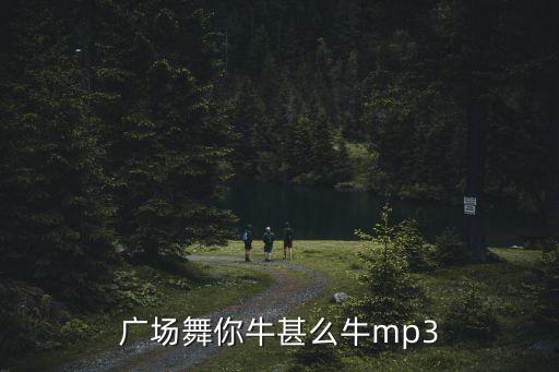 广场舞你牛甚么牛mp3