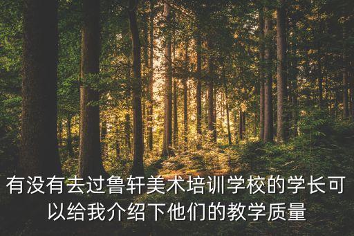 有没有去过鲁轩美术培训学校的学长可以给我介绍下他们的教学质量