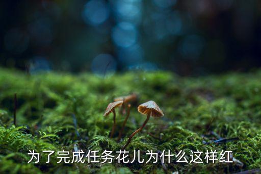 花儿为什么这样红动动广场舞，花儿为什么这样红云之舞广场舞