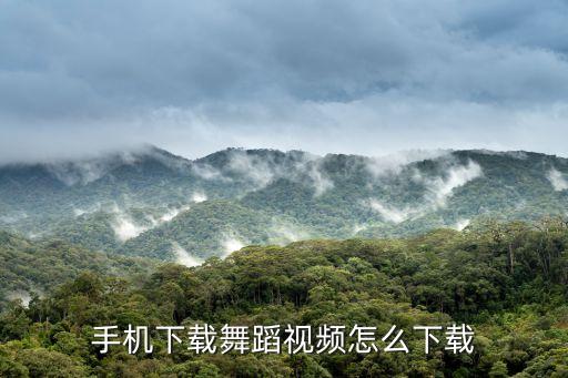 手机下载舞蹈视频怎么下载