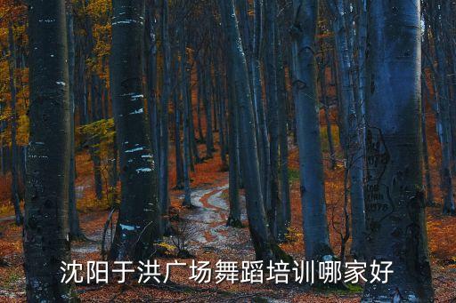 沈阳于洪广场舞蹈培训哪家好