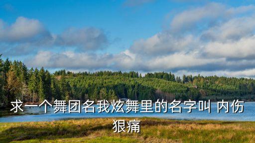求一个舞团名我炫舞里的名字叫 内伤狠痛