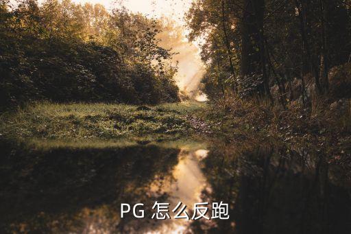 PG 怎么反跑
