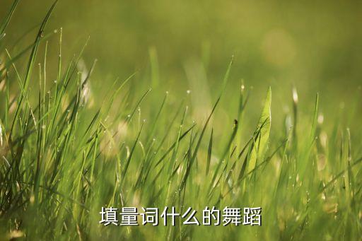 填量词什么的舞蹈