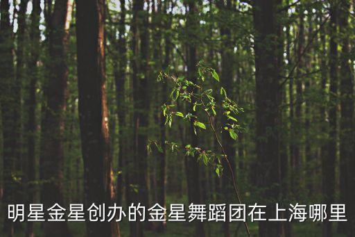 明星金星创办的金星舞蹈团在上海哪里