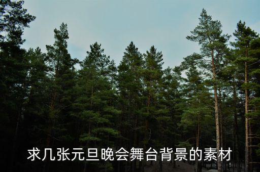 求几张元旦晚会舞台背景的素材