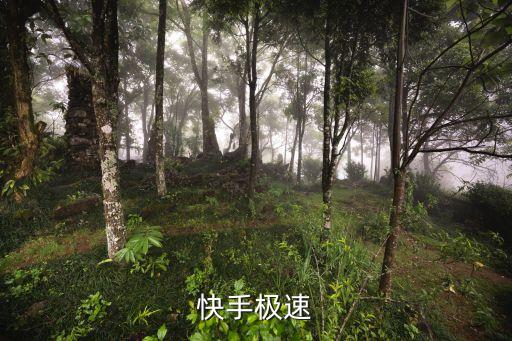 快手极速
