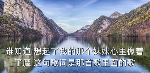 谁知道 想起了我的那个妹妹心里像着了魔 这句歌词是那首歌里面的歌