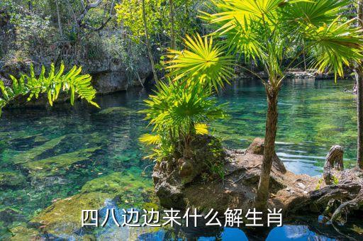节目舒心的日孑扭着过大扇哪里买，四八边边来什么解生肖