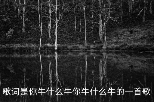网络歌曲你牛什么牛，你牛什么牛是什么歌曲呀