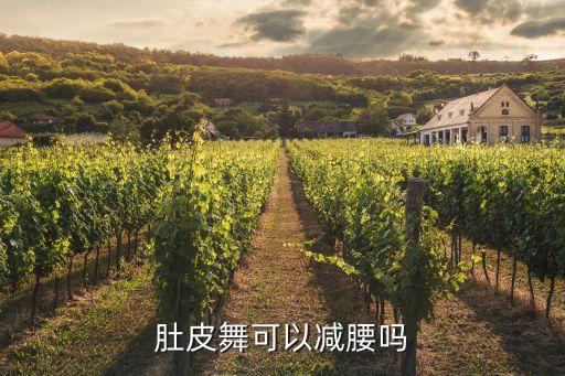 肚皮舞腰带有什么好处，肚皮舞可以减腰吗