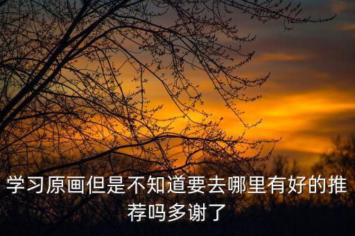 学习原画但是不知道要去哪里有好的推荐吗多谢了