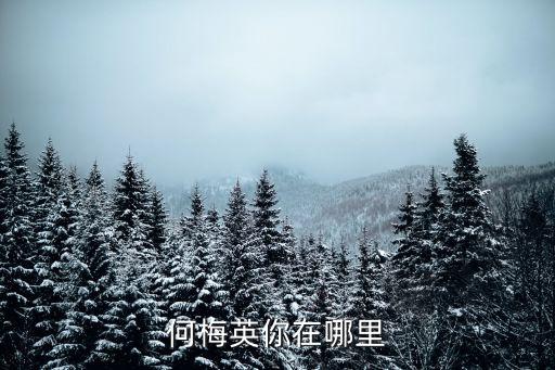 何梅英你在哪里